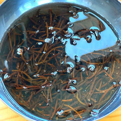 hijiki seaweed 