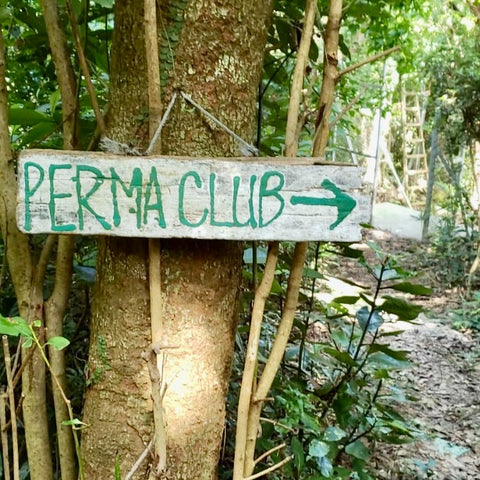 permaclub entrance