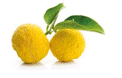 Citrus junos