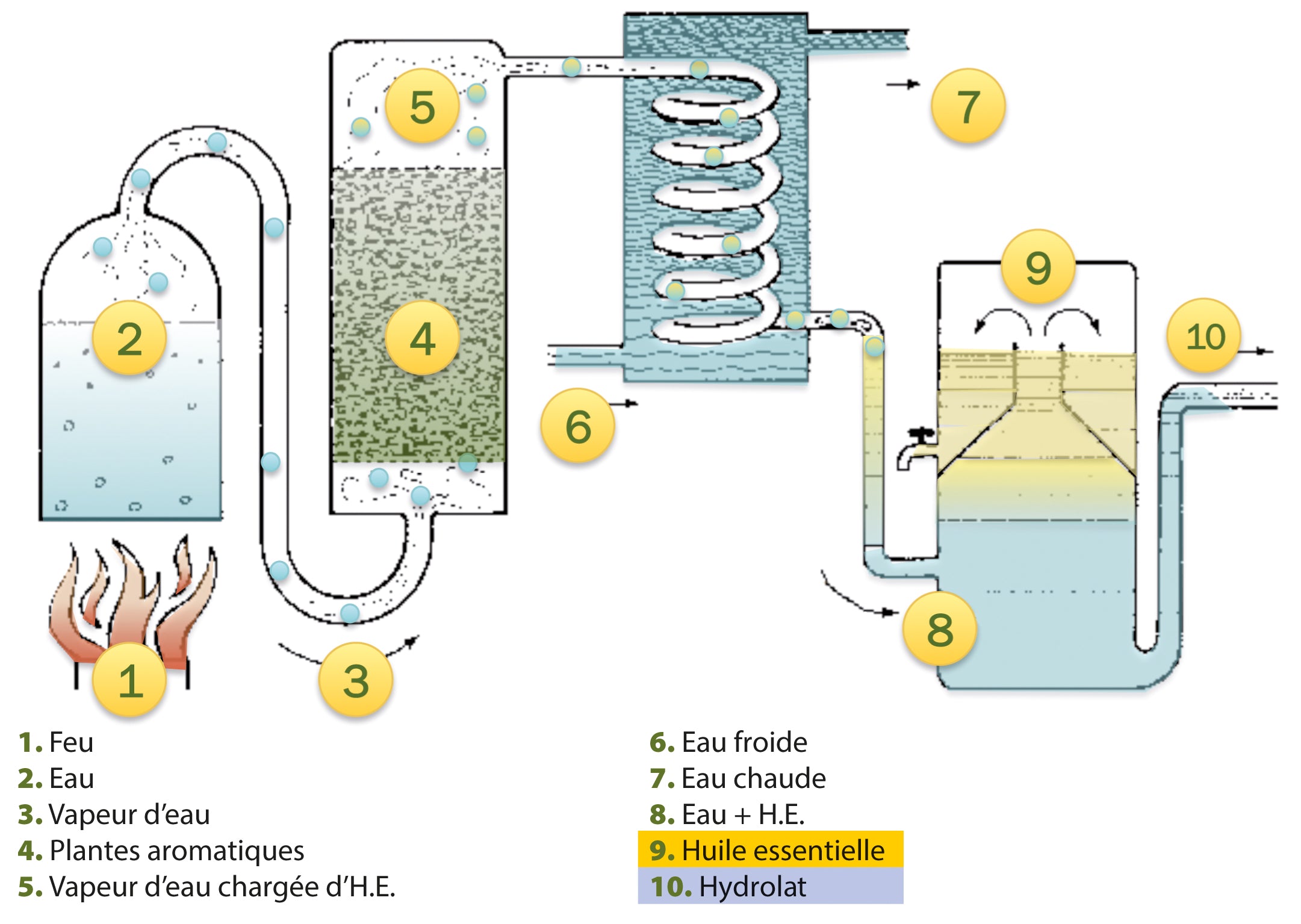 Reconnaître un véritable hydrolat aromatique en 6 points