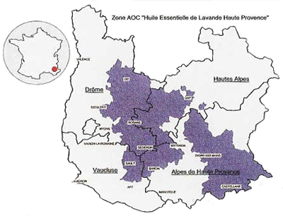 Zone AOC de Haute Provence ou pousse la lavande fine AOP