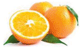 Citrus sinensis