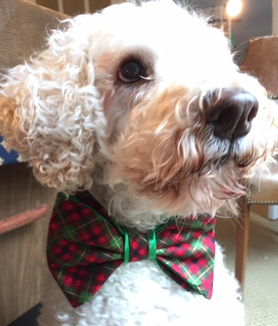 holiday bow ties for dogs