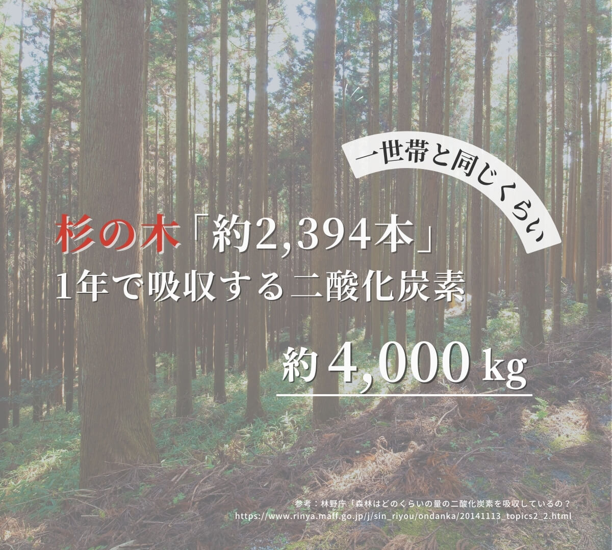 ヘンプ9つのポテンシャル「CO2吸収量」