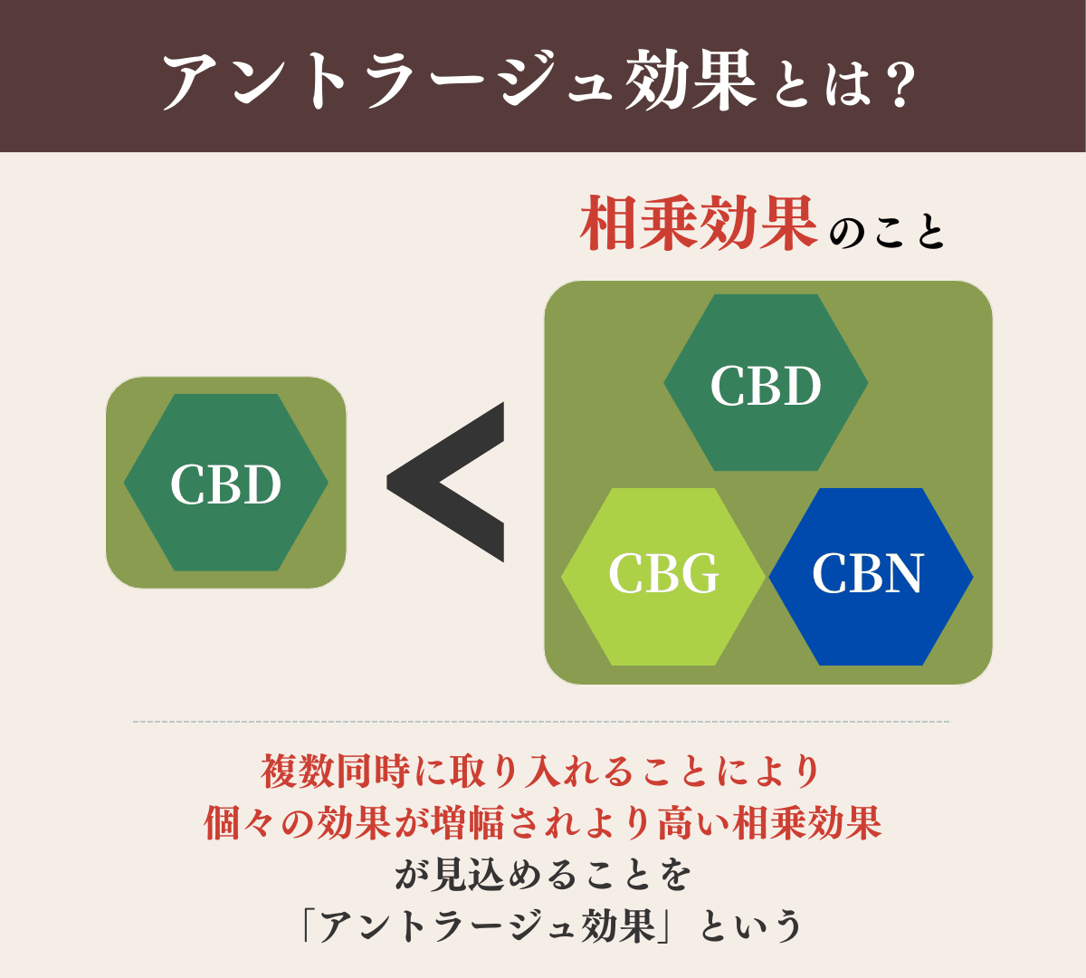 アントラージュ効果とは？