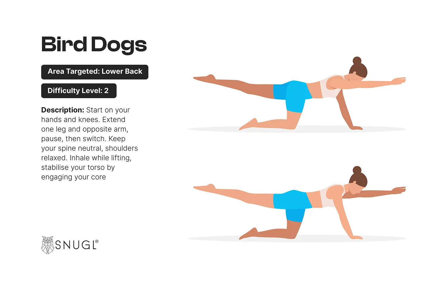 A diagram showing the bird dog exercise, starting on all fours then raising the opposite leg and arm, holding the position before alternating.