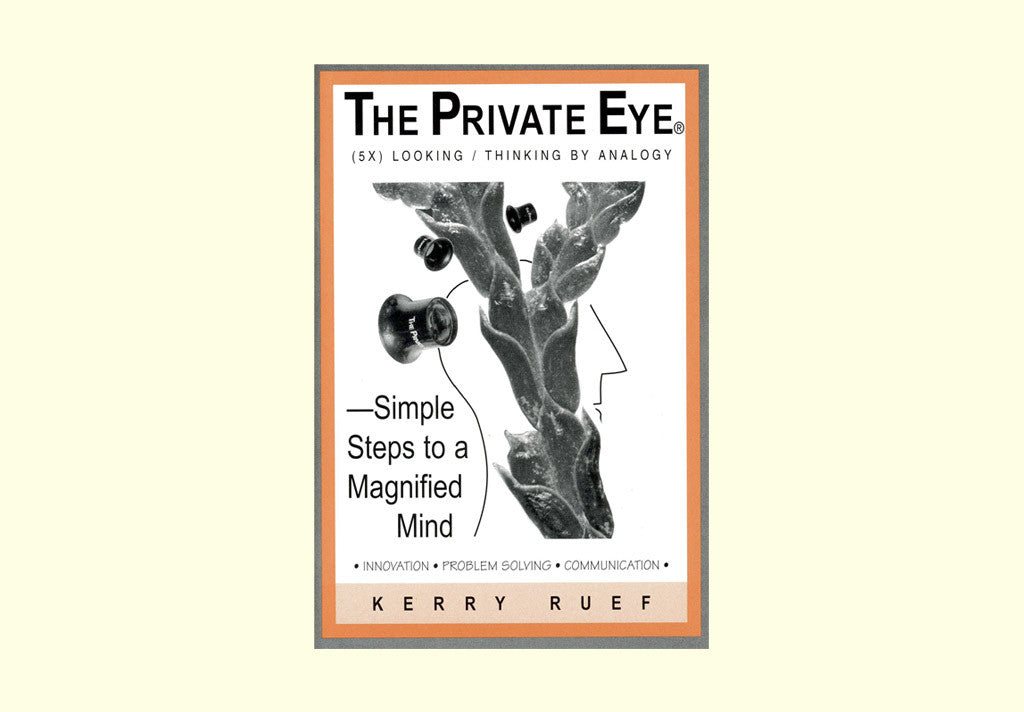 Simple Steps to a Magnified Mind (pocket version to The Private Eye teacher guide)