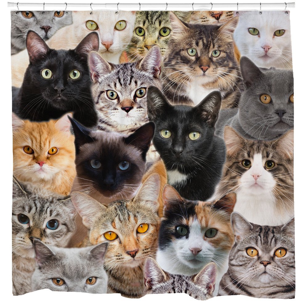 Cat Shower Curtain, Funny Shower Curtain, Animal Print, Cat Decor, Bla ...