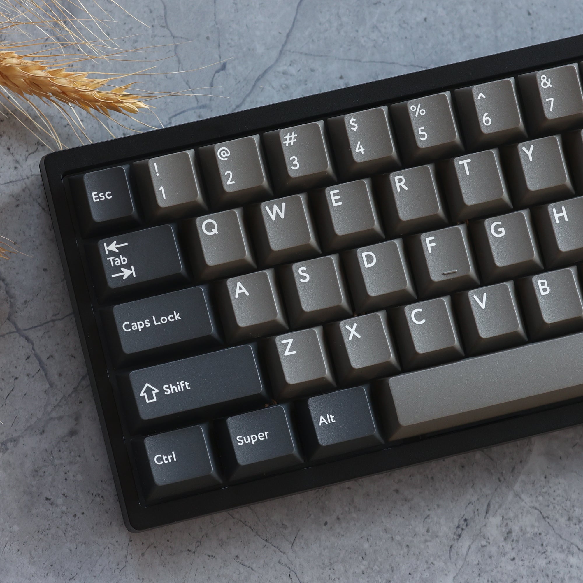 KBDfans Custom Keyboard PBTfans Dolch