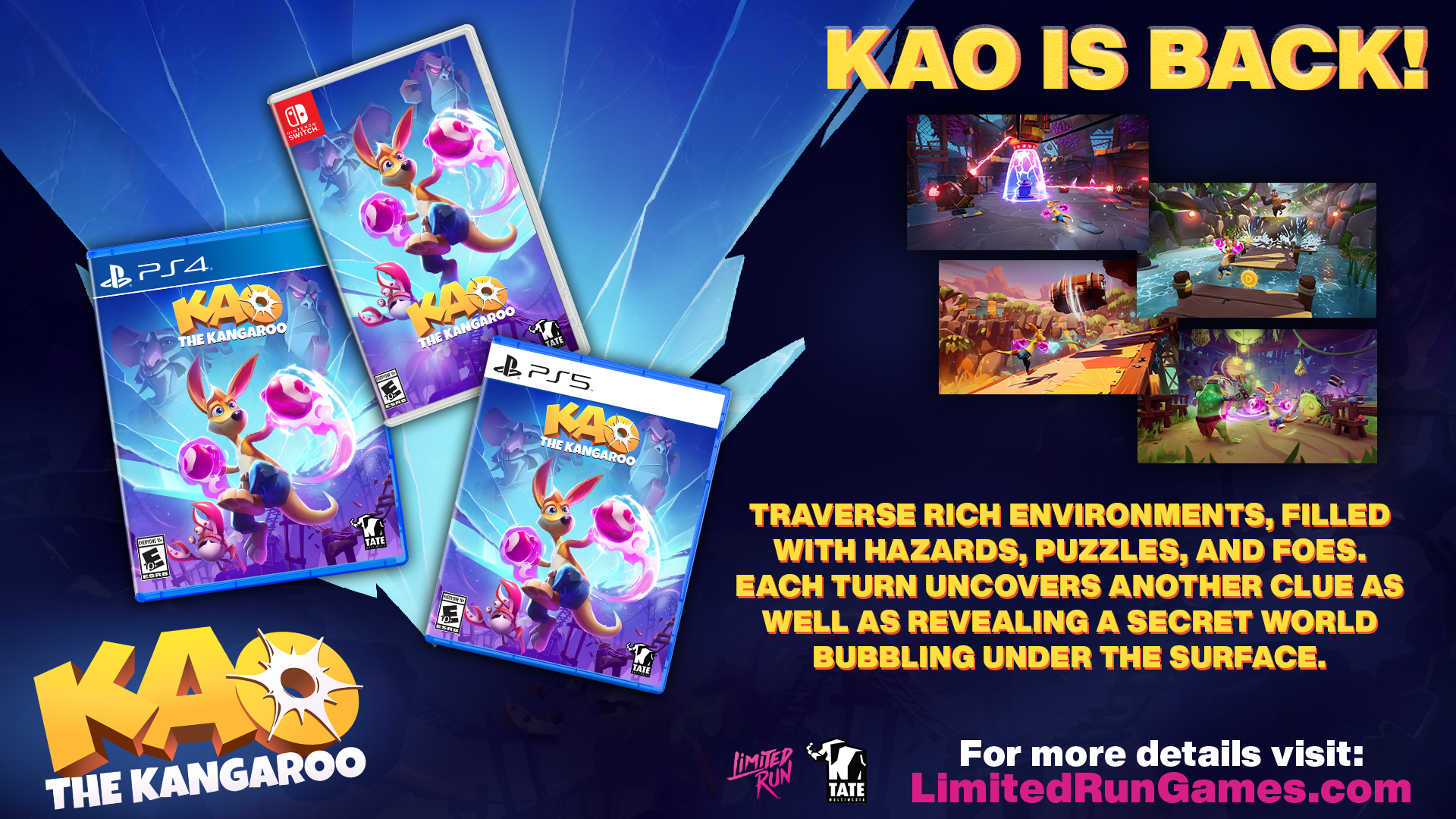 Limited Run Games Kao the Kangaroo (Switch)