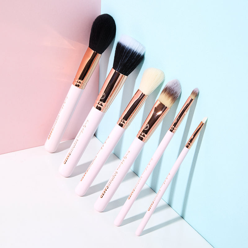 The Sophisticaked Brush Collection travel product recommended by Eunique Griffin on Pretty Progressive.