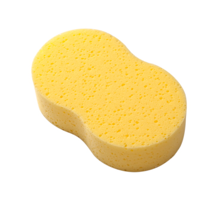 sponge for washing