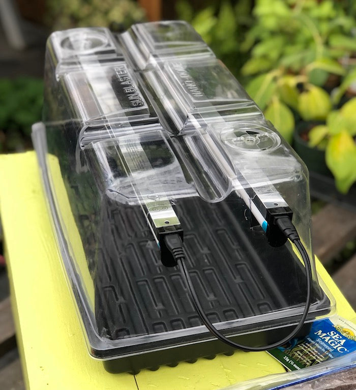 Simple Seed Starting Propagator