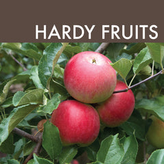 Hardy Fruits