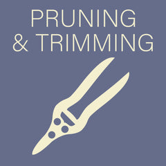 Pruning and Trimming Tools at Sage Garden