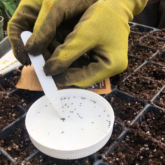 Planting seeds with a plant marker