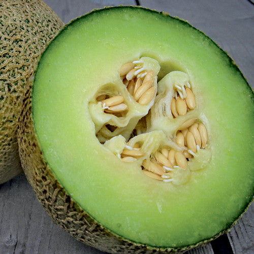 Rocky ford melon season #5