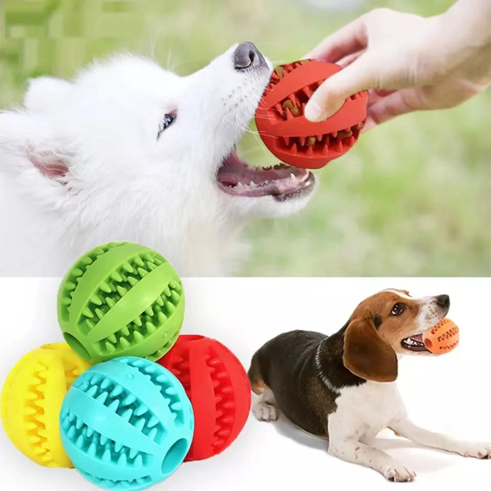 why do dogs chew balls