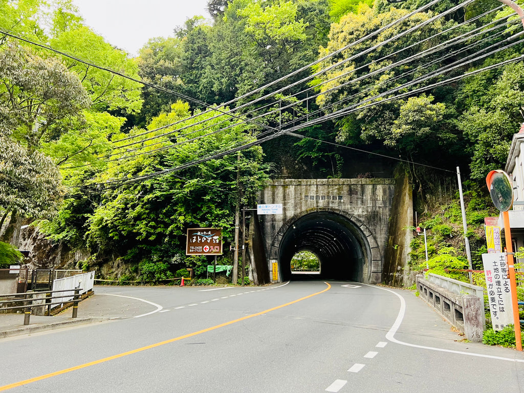 双竜の滝入り口