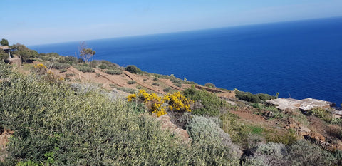 Martingana - Pantelleria