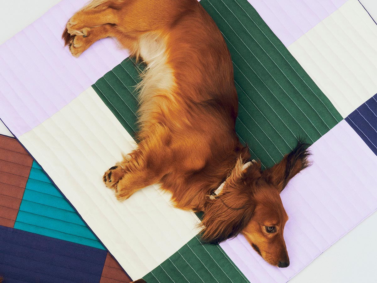 HAY DOGS BY HOLLY GOLIGHTLY DOGS TRAVEL BLANKET_6