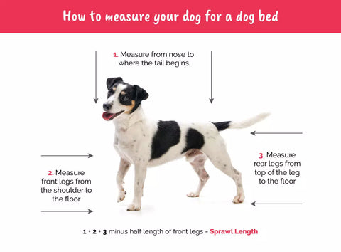 Large Dog Beds to Small Dog Beds: Choosing the Perfect Size Dog