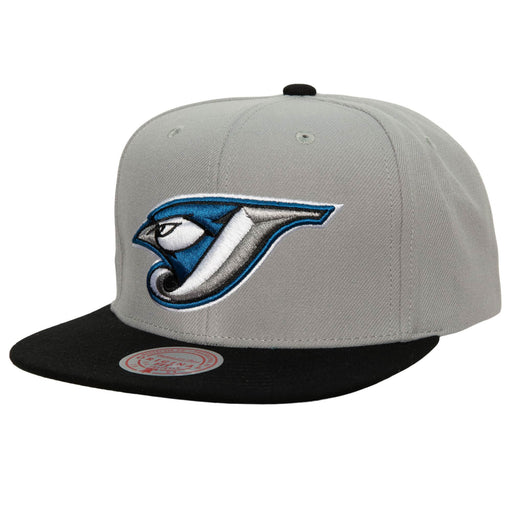Mitchell & Ness Toronto Blue Jays Cooperstown MLB Evergreen Trucker  Snapback Hat Cap - Off White