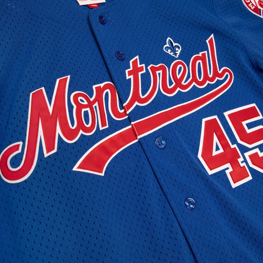 Mitchell and Ness MLB Montreal Expos Men's Mitchell and Ness 2002 Authentic  Mesh BP Vladimir Guerrero #27 Jersey Royal