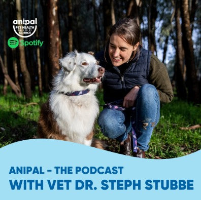 Anipal Podcast