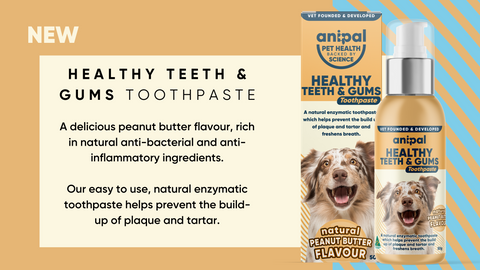 Healthy Teeth & Gums Toothpaste