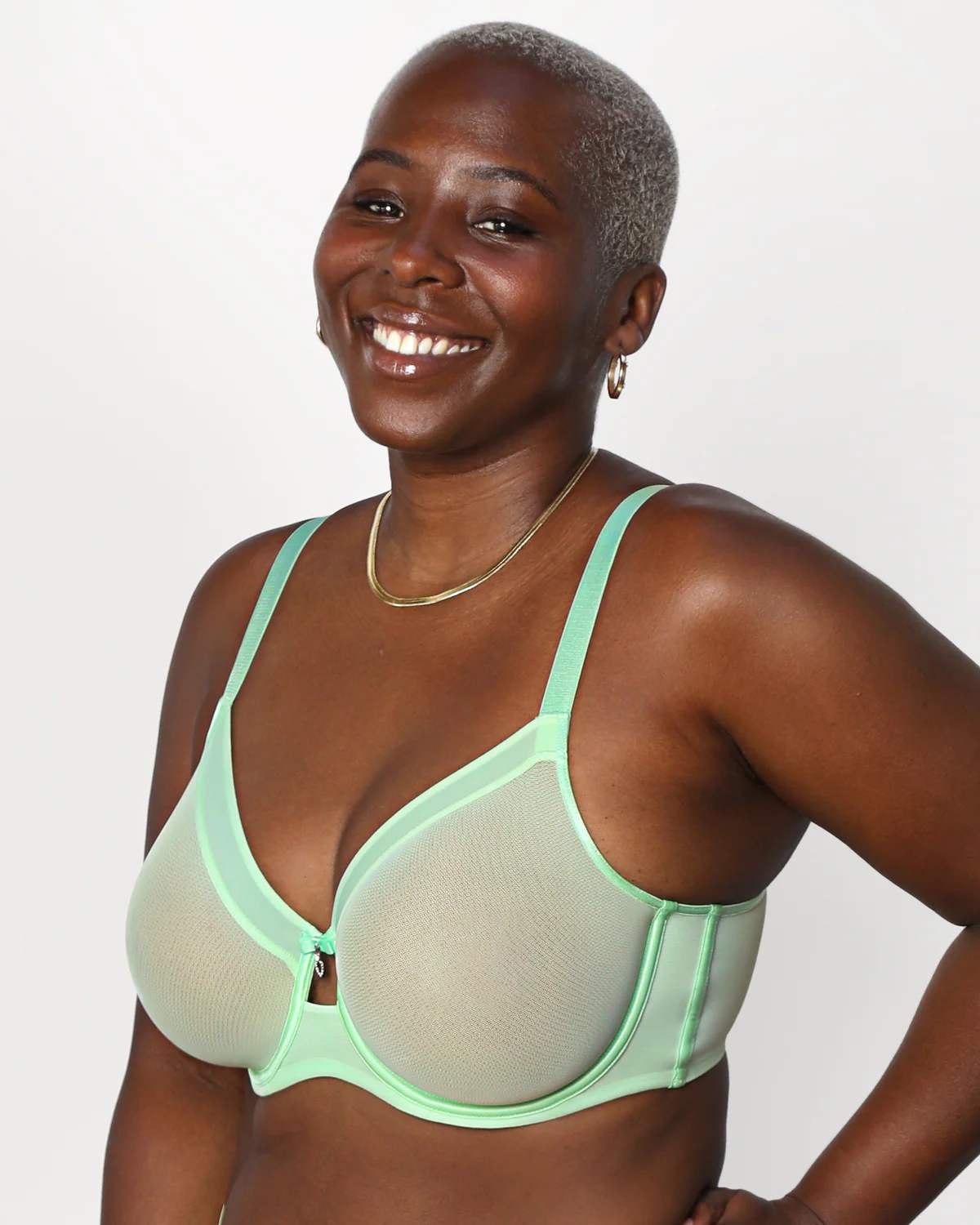 Sheer Mesh Full Coverage Unlined Underwire Bra