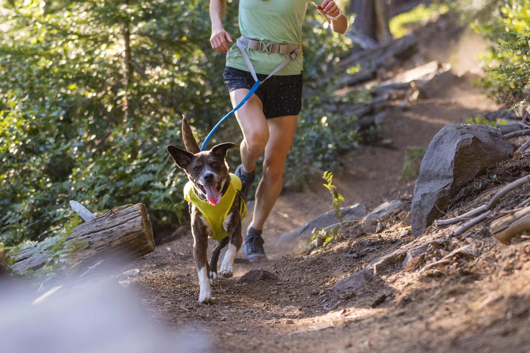 Trail Runner™ Dog Leash for Running