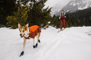 Ruffwear Vert Waterproof Dog Coat | Canada - See SAWYER Run