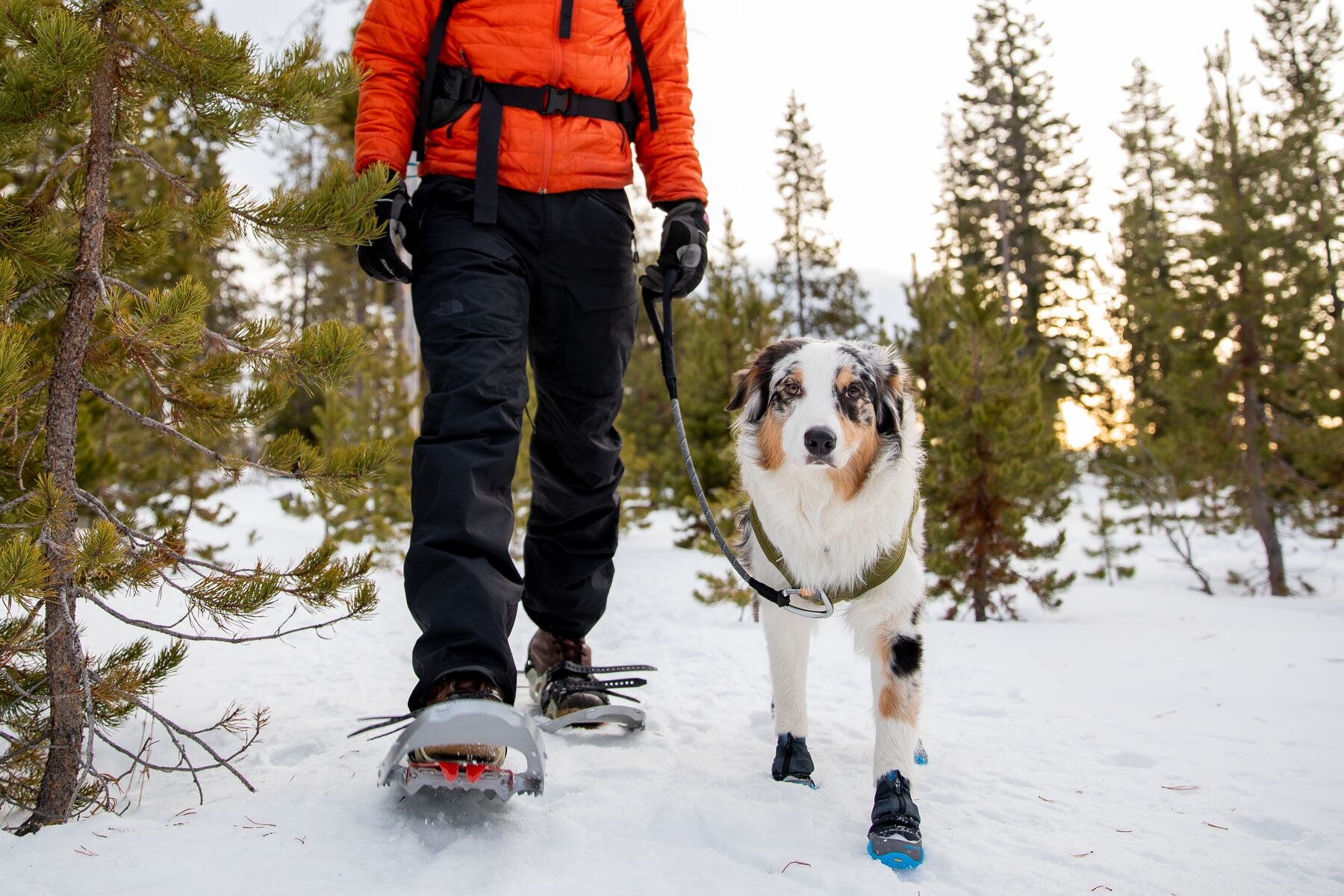 Ruffwear Bark'n Boot Liners