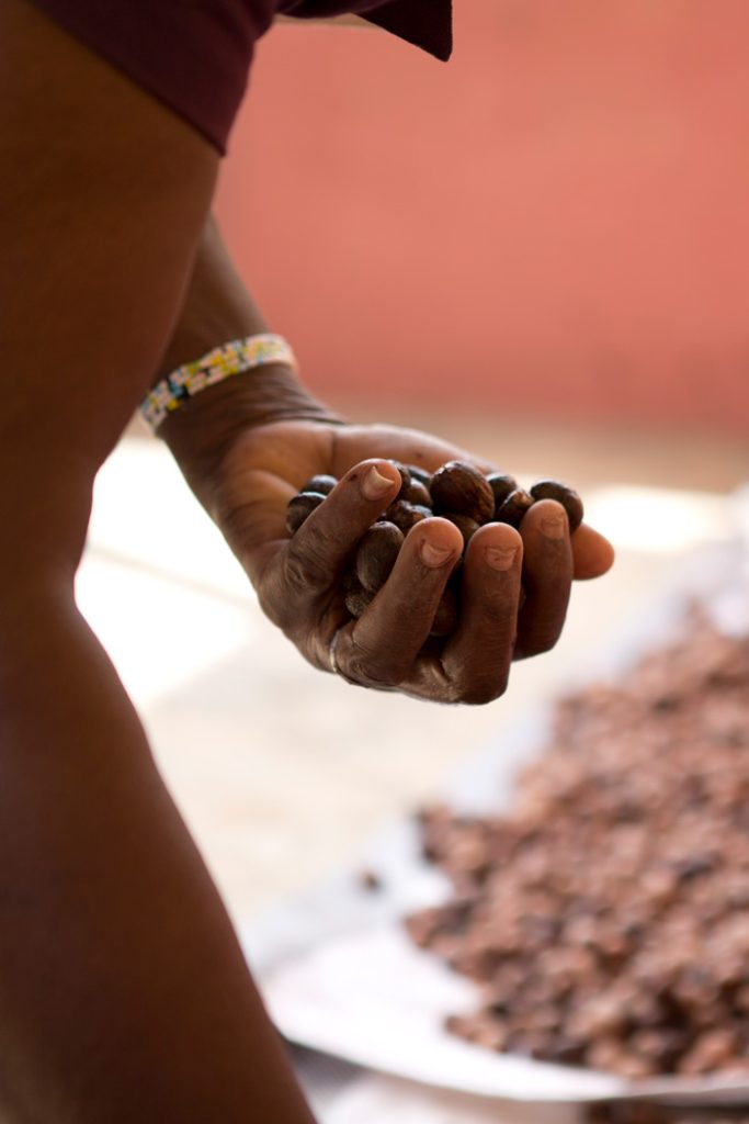 Nuts collected and made into shea butter by artisans with Ele Agbe in Ghana. 