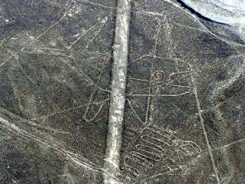 Nazca Lines - Whale