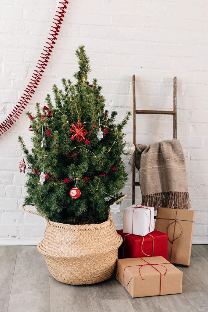 Sustainable Christmas | Fresh-cut Tree