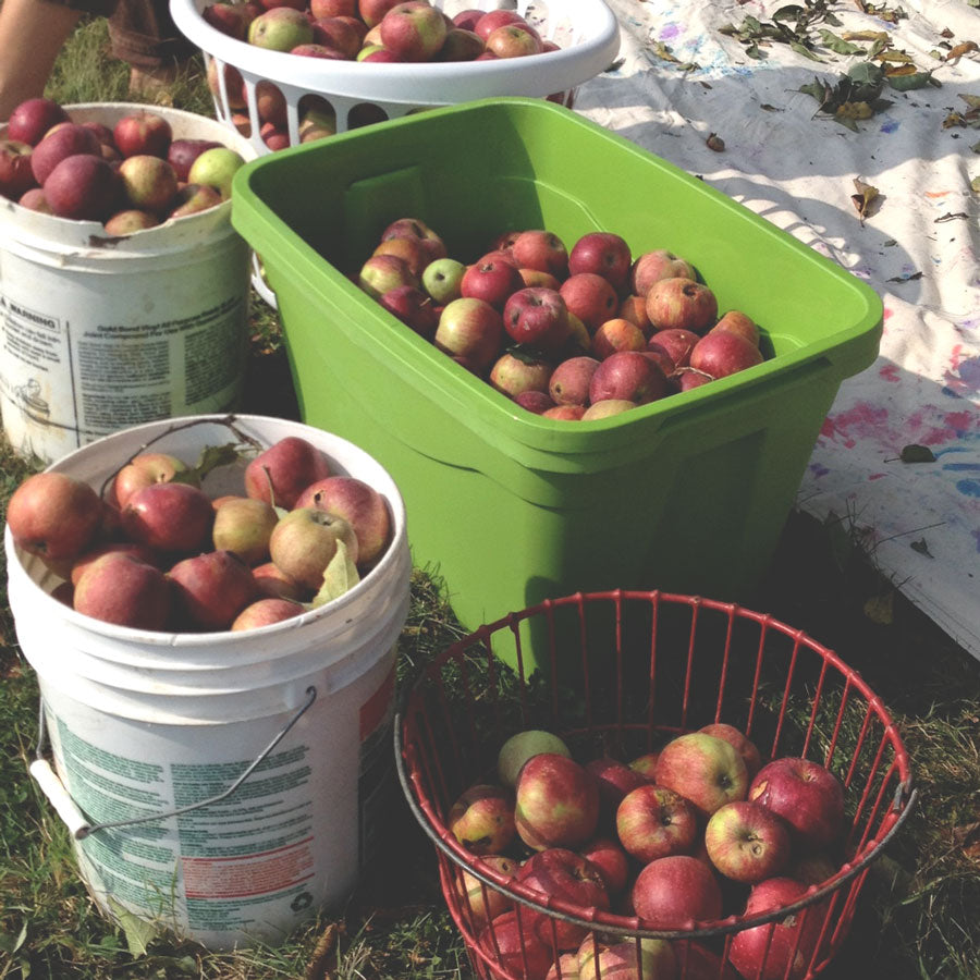 How to throw an Apple Cider All-Nighter Party | What to do with all those apples? #livelifefair | Ten Thousand Villages 