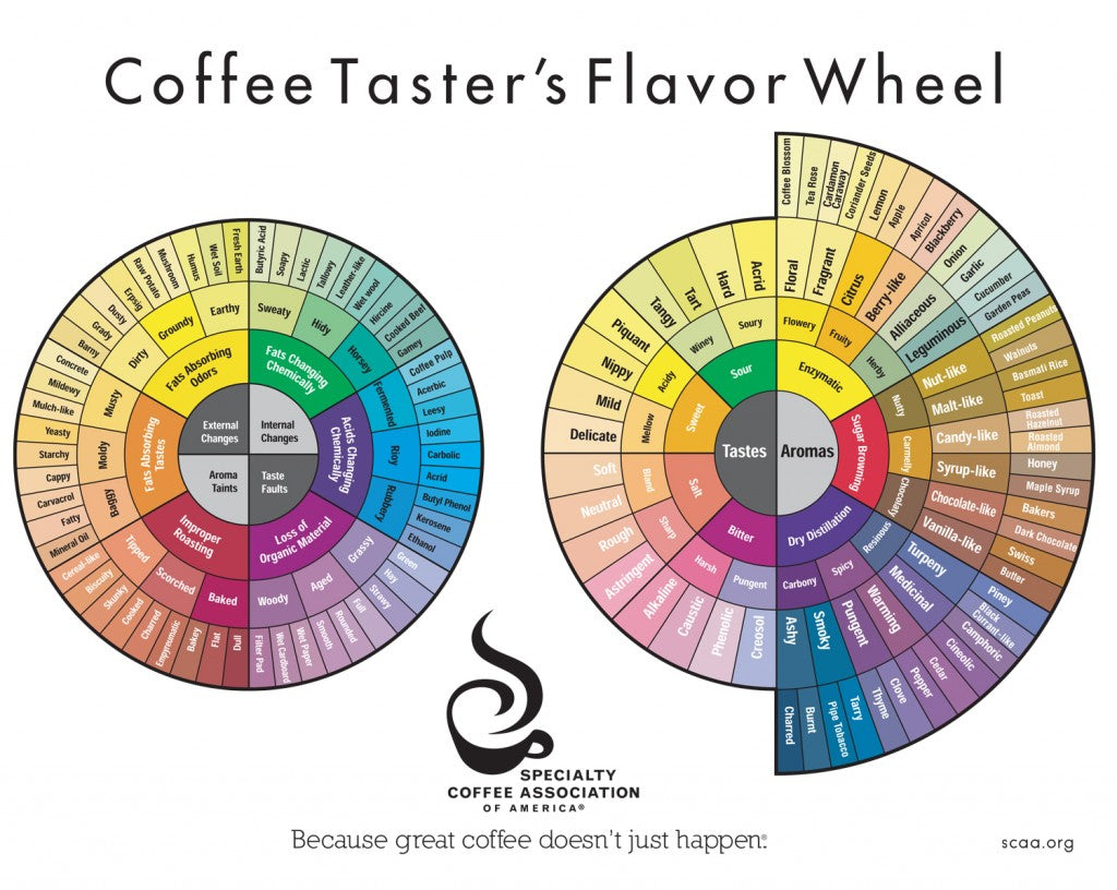 SCAA Coffee Tater's Flavor Wheel #LiveLifeFair