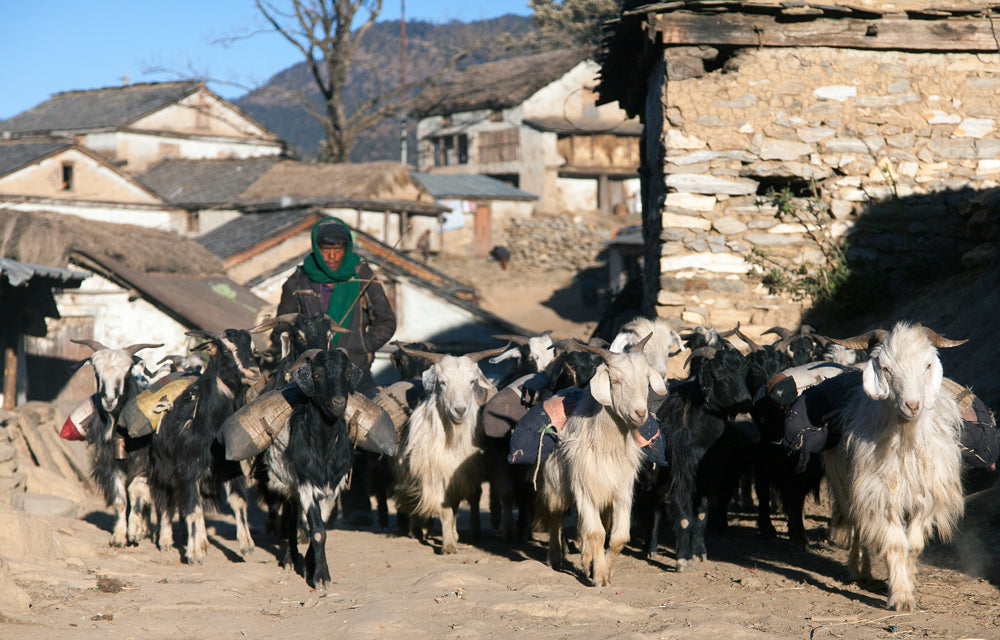 Ten Thousand Villages, Mosaic. Nepal: A Journey Through the Mountains — Rural Nepal
