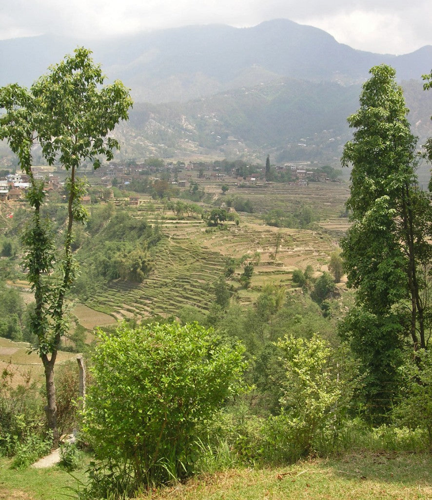 Ten Thousand Villages, Mosaic. Nepal: A Journey Through the Mountains — Rural Nepal