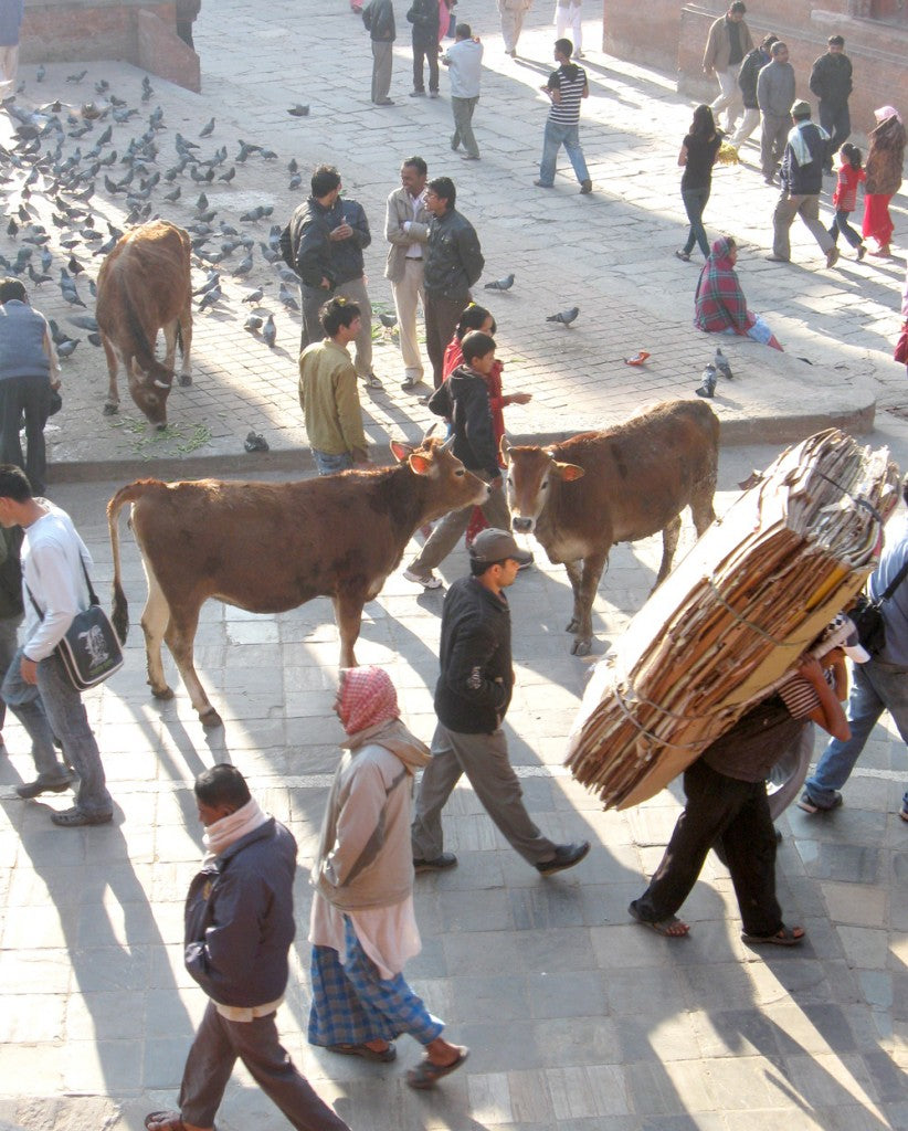 Ten Thousand Villages, Mosaic. Nepal: A Journey Through the Mountains — Kathmandu Streets