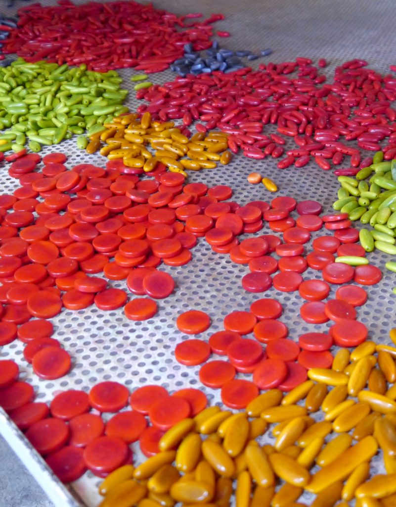 Image shows many pieces of tagua in several bright colors lying on a metal work surface before they are made into eco friendly jewelry. 