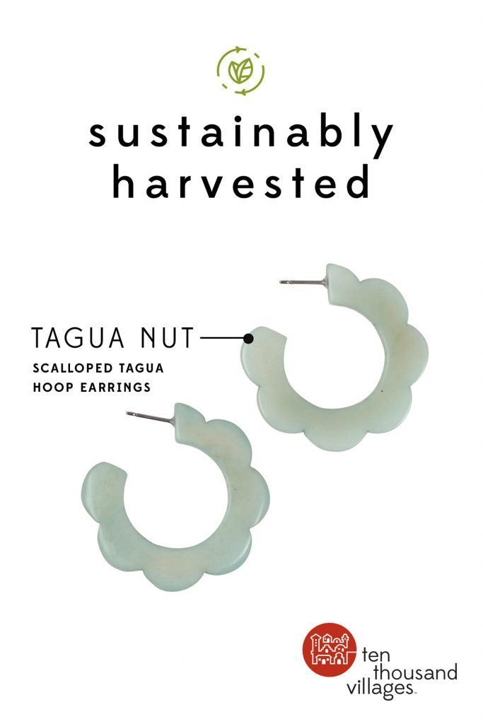 Celebrating Sustainability | Sustainably harvested 