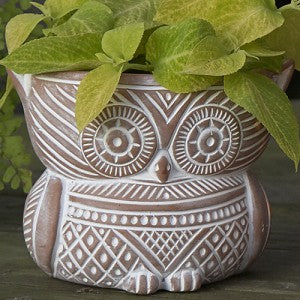 Fair Trade Planters - Succulent Garden planter_owl