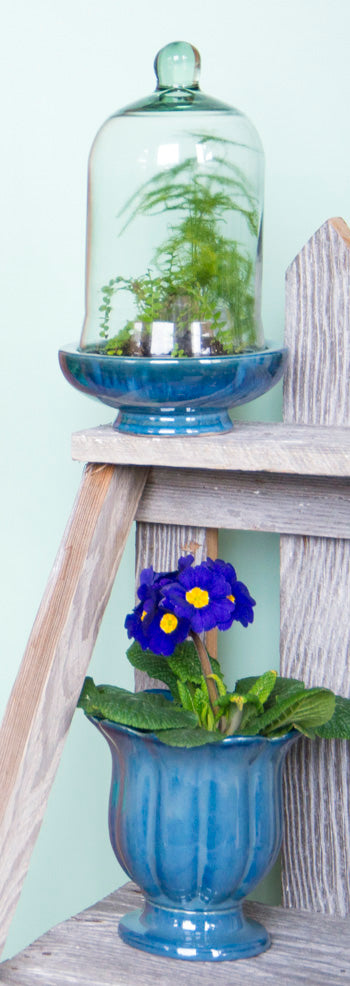 Terrarium - Blue Planters