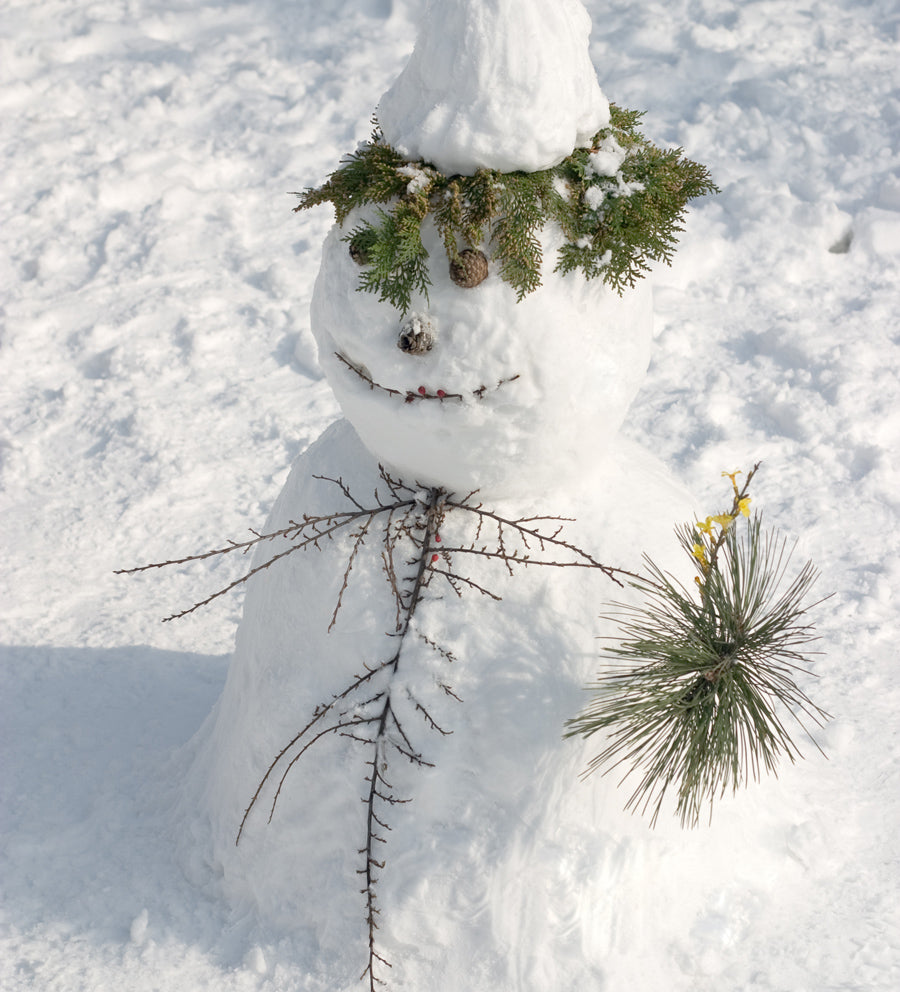 #9 of 10 Ways to Get Through Winter: Build a snowman