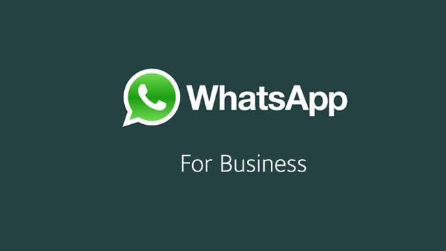 Wholesale whatsapp group link