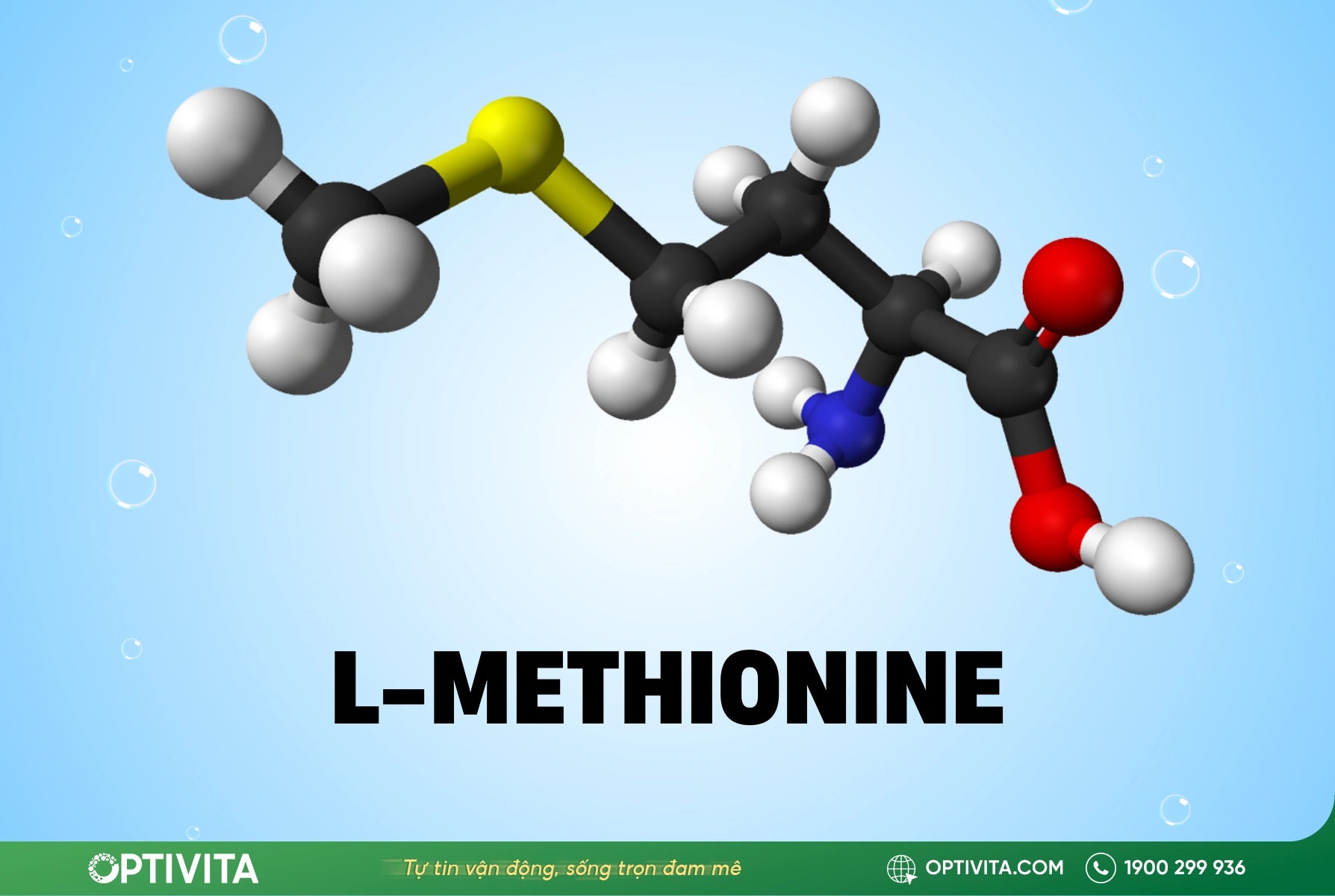 L-methionine: Thành phần quan trọng hỗ trợ sức khỏe khớp 6 L-methionine