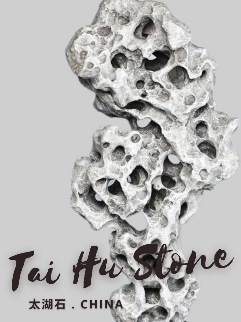 Tai Hu Stone 太湖石